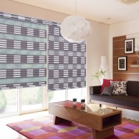 Haoyan Good Quality Price Wholesale Double day and night Fabric Zebra Roller Blinds