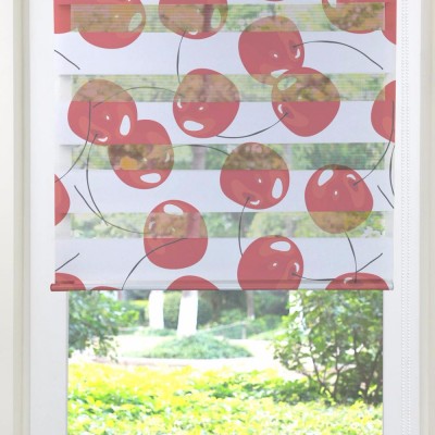 Hot Selling Zebra Blind Printed Window Sheer Blind