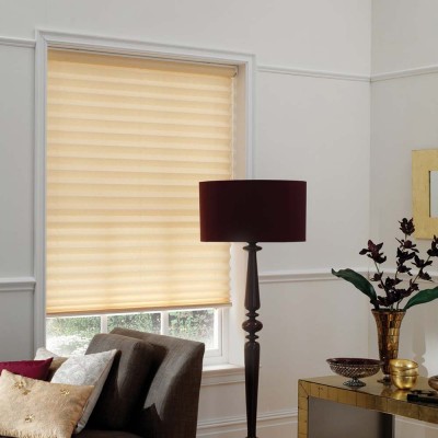 Modern Cordless Plisse Blind & Pleated Blind On Sale