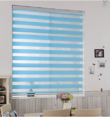 Fashionable Day And Night Curtains & Zebra Blinds &  Window Treatments