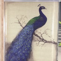 Haoyan 3d high-definition printing peacock paper roller blinds